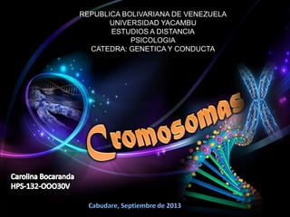 REPUBLICA BOLIVARIANA DE VENEZUELA
UNIVERSIDAD YACAMBU
ESTUDIOS A DISTANCIA
PSICOLOGIA
CATEDRA: GENETICA Y CONDUCTA
 