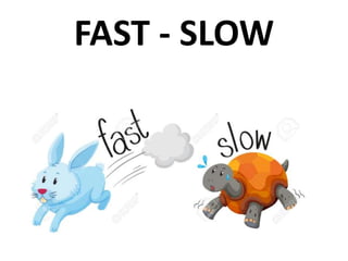 FAST - SLOW
 