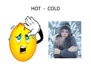 HOT - COLD
 
