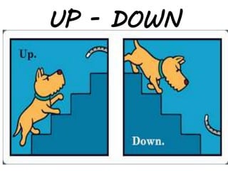 UP - DOWN
 