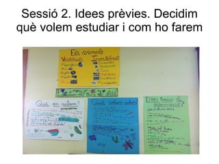 Sessió 2. Idees prèvies. Decidim
què volem estudiar i com ho farem
 