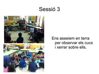 Sessió 3




    Ens asseiem en terra
     per observar els cucs
     i xerrar sobre ells.
 