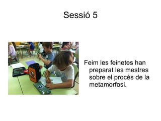 Sessió 5




    Feim les feinetes han
     preparat les mestres
     sobre el procés de la
     metamorfosi.
 