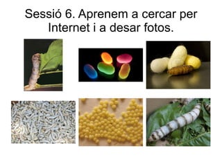 Sessió 6. Aprenem a cercar per
   Internet i a desar fotos.
 
