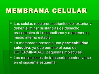 MEMBRANA CELULARMEMBRANA CELULAR
 Las células requieren nutrientes del exterior yLas células requieren nutrientes del exterior y
deben eliminar sustancias de desechodeben eliminar sustancias de desecho
procedentes del metabolismo y mantener suprocedentes del metabolismo y mantener su
medio interno estable.medio interno estable.
 La membrana presenta unaLa membrana presenta una permeabilidadpermeabilidad
selectivaselectiva, ya que permite el paso de, ya que permite el paso de
DETERMINADAS pequeñas moléculas.DETERMINADAS pequeñas moléculas.
 Los mecanismos de transporte pueden verseLos mecanismos de transporte pueden verse
en el siguiente esquema:en el siguiente esquema:
 