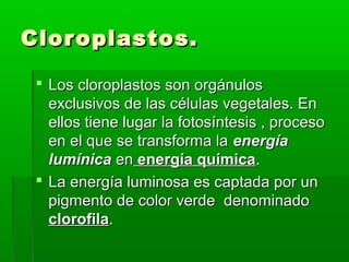 Cloroplastos.Cloroplastos.
 Los cloroplastos son orgánulosLos cloroplastos son orgánulos
exclusivos de las células vegetales. Enexclusivos de las células vegetales. En
ellos tiene lugar la fotosíntesis , procesoellos tiene lugar la fotosíntesis , proceso
en el que se transforma laen el que se transforma la energíaenergía
lumínicalumínica enen energía químicaenergía química..
 La energía luminosa es captada por unLa energía luminosa es captada por un
pigmento de color verde denominadopigmento de color verde denominado
clorofilaclorofila..
 