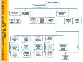 ÓRGANO DE CONTROL INSTITUCIONAL DIRECCIÓN EJECUTIVA DE PROMOCIÓN DE LA SALUD DIRECCIÓN EJECUTIVA DE SALUD DE LAS PERSONAS DIRECCIÓN EJECUTIVA DE MEDICAMENTOS, INSUMOS Y DROGAS DIRECCIÓN EJECUTIVA DE SALUD AMBIENTAL  DIRECCIÓN GENERAL OFICINA DE ECONOMIA OFICINA DE LOGÍSTICA  OFICINA EJECUTIVA DE ADMINISTRACIONOFICINA EJECUTIVA DE GESTIÓN Y DESARROLLO DE RECURSOS HUMANOSDIRECCIÓN DE RED DE SALUDDIRECCIÓN DE SANEAMIENTO BÁSICO, HIGIENE ALIMENTARIA Y ZOONOSIS  DIRECCIÓN DE EDUCACIÓN PARA LA SALUD DIRECCIÓN DE ATENCIÓN INTEGRAL Y CALIDAD EN SALUD  DIRECCIÓN DE FISCALIZACIÓN, CONTROL Y  VIGILANCIA OFICINA DE ASESORÍA JURÍDICA OFICINA DE EPIDEMIOLOGIA OFICINA EJECUTIVA DE PLANEAMIENTO ESTRATÉGICO DIRECCIÓN DE PROMOCIÓN DE VIDA SANA Y PARTICIAPACION COMUNITARIA EN SALUDDIRECCIÓN DE SERVICIO DE SALUD DIRECCIÓN DE ACCESO Y USO RACIONAL DE MEDICAMENTOS DIRECCIÓN DE ECOLOGÍA, PROTECCIÓN DEL MEDIO AMBIENTE Y SALUD OCUPACIONAL OFICINA DE INFORMÁTICA, TELECOMUNICACIONES Y ESTADITICACENTRO DE PREVENCIÓN Y CONTROL DE EMERGENCIAS Y DESASTRESOFICINA DE COMUNICACIONES ORGANIGRAMA ESTRUCTURAL – DIRECCIÓN REGIONAL DE SALUD TUMBESDIRECCIÓN DE LABORATORIO DE SALUD PÚBLICA  