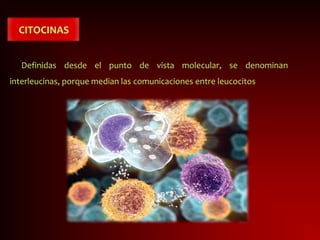 CITOCINAS
Definidas desde el punto de vista molecular, se denominan
interleucinas, porque median las comunicaciones entre leucocitos
 