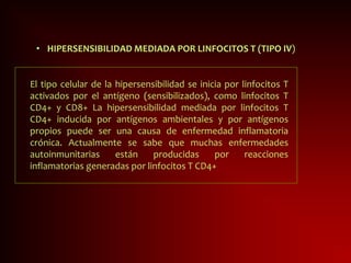 • HIPERSENSIBILIDAD MEDIADA POR LINFOCITOS T (TIPO IV)
El tipo celular de la hipersensibilidad se inicia por linfocitos T
activados por el antígeno (sensibilizados), como linfocitos T
CD4+ y CD8+ La hipersensibilidad mediada por linfocitos T
CD4+ inducida por antígenos ambientales y por antígenos
propios puede ser una causa de enfermedad inflamatoria
crónica. Actualmente se sabe que muchas enfermedades
autoinmunitarias están producidas por reacciones
inflamatorias generadas por linfocitos T CD4+
 