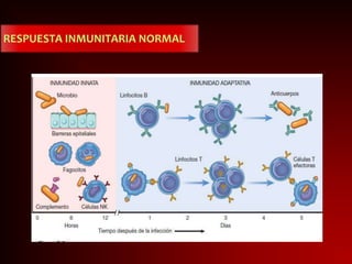RESPUESTA INMUNITARIA NORMAL
 