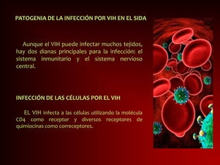 PATOGENIA DE LA INFECCIÓN POR VIH EN EL SIDA
Aunque el VIH puede infectar muchos tejidos,
hay dos dianas principales para la infección: el
sistema inmunitario y el sistema nervioso
central.
INFECCIÓN DE LAS CÉLULAS POR EL VIH
EL VIH infecta a las células utilizando la molécula
CD4 como receptor y diversos receptores de
quimiocinas como correceptores.
 