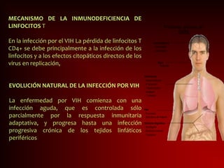 MECANISMO DE LA INMUNODEFICIENCIA DE
LINFOCITOS T
En la infección por el VIH La pérdida de linfocitos T
CD4+ se debe principalmente a la infección de los
linfocitos y a los efectos citopáticos directos de los
virus en replicación,
EVOLUCIÓN NATURAL DE LA INFECCIÓN POR VIH
La enfermedad por VIH comienza con una
infección aguda, que es controlada sólo
parcialmente por la respuesta inmunitaria
adaptativa, y progresa hasta una infección
progresiva crónica de los tejidos linfáticos
periféricos
 