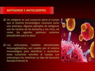 ANTÍGENOS Y ANTICUERPOS
 Un antígeno es una sustancia ajena al cuerpo
que el sistema inmunológico reconoce como
una amenaza. Algunos ejemplos de antígenos
son las toxinas de las bacterias y los virus, así
como los agentes químicos externos
perjudiciales para la salud.
 Los anticuerpos, también denominados
inmunoglobulinas, son usados por el sistema
inmunológico para identificar y neutralizar
estas sustancias extrañas al cuerpo. Los
anticuerpos los sintetizan un tipo de leucocito
llamado linfocito B.
 