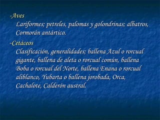 --AvesAves
Lariformes; petreles, palomas y golondrinas; albatros,Lariformes; petreles, palomas y golondrinas; albatros,
Cormorán antártico.Cormorán antártico.
--CetáceosCetáceos
Clasificación, generalidades; ballena Azul o rorcualClasificación, generalidades; ballena Azul o rorcual
gigante, ballena de aleta o rorcual común, ballenagigante, ballena de aleta o rorcual común, ballena
Boba o rorcual del Norte, ballena Enana o rorcualBoba o rorcual del Norte, ballena Enana o rorcual
aliblanco, Yubarta o ballena jorobada, Orca,aliblanco, Yubarta o ballena jorobada, Orca,
Cachalote, Calderón austral.Cachalote, Calderón austral.
 