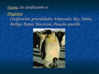 --Fauna:Fauna: Su clasificación es:Su clasificación es:
--PingüinosPingüinos
Clasificación, generalidades, Emperador, Rey, Adelia,Clasificación, generalidades, Emperador, Rey, Adelia,
Barbijo, Papúa, Macarroni, Penacho amarillo.Barbijo, Papúa, Macarroni, Penacho amarillo.
 