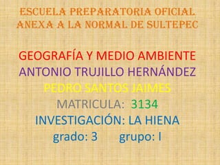 Escuela preparatoria oficial
anexa a la normal de Sultepec

GEOGRAFÍA Y MEDIO AMBIENTE
ANTONIO TRUJILLO HERNÁNDEZ
    PEDRO SANTOS JAIMES
      MATRICULA: 3134
  INVESTIGACIÓN: LA HIENA
     grado: 3  grupo: I
 