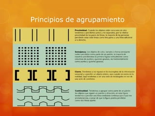 Principios de agrupamiento
 