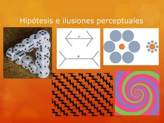 Hipótesis e ilusiones perceptuales
 