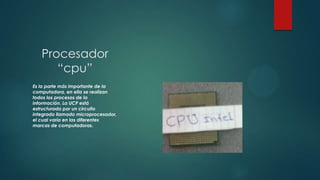 Procesador
      “cpu”
Es la parte más importante de la
computadora, en ella se realizan
todos los procesos de la
informac...