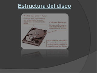 Estructura del disco