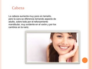 Cabeza 
La cabeza aumenta muy poco en tamaño, 
pero la cara se diferencia tomando aspecto de 
adulto, sobre todo por el reforzamiento 
mandibular, muy evidente en el varón y por los 
cambios en la nariz. 
 