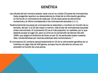 GENÉTICA
Las células del ser humano poseen cada una en su núcleo 23 pares de cromosomas.
Cada progenitor aporta a su descendencia la mitad de la información genética,
en forma de un cromosoma de cada par. 22 de esos pares se denominan
autosomas y el último corresponde a los cromosomas sexuales (X o Y).
Tradicionalmente los pares de cromosomas se describen y nombran en función de su
tamaño, del par 1 al 22 (de mayor a menor), más el par de cromosomas sexuales
antes mencionado. El cromosoma 21 es el más pequeño, en realidad, por lo que
debería ocupar el lugar 22, pero un error en la convención de Denver del año
1960, que asignó el síndrome de Down al par 21 ha perdurado hasta nuestros
días, manteniéndose por razones prácticas esta nomenclatura.19
El cromosoma 21 contiene aproximadamente el 1% de la información genética de un
individuo en algo más de 400 genes, aunque hoy en día sólo se conoce con
precisión la función de unos pocos.
 