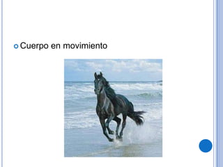 Cuerpo en movimiento
 