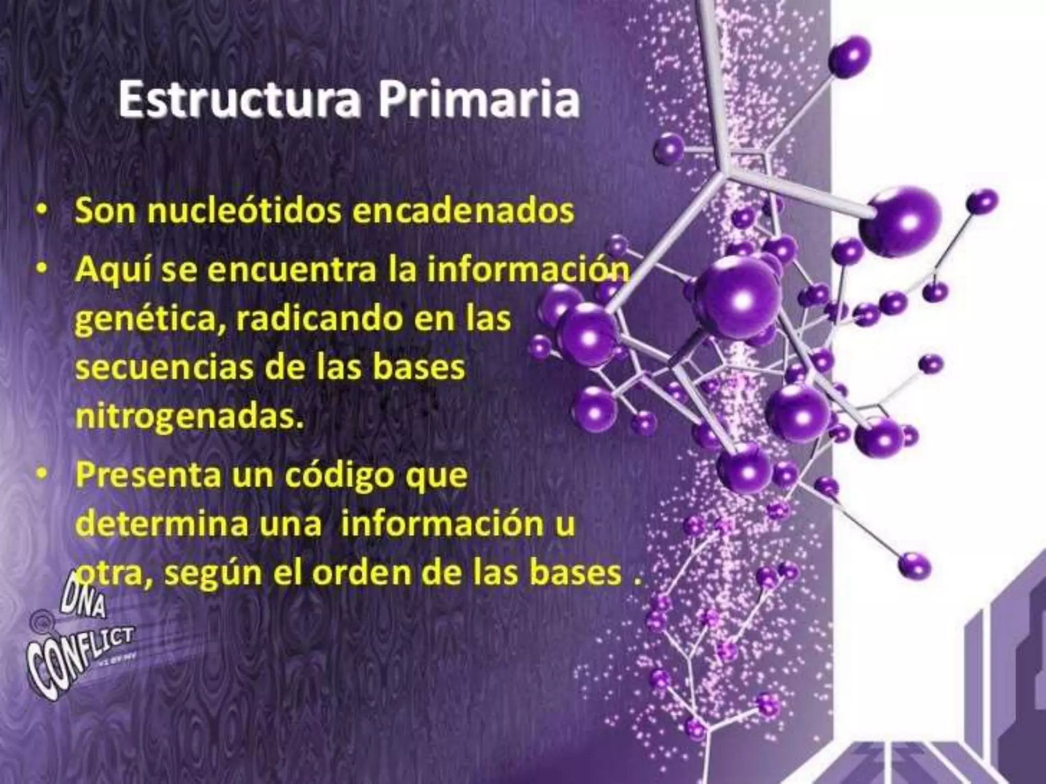 Biologia Molecular. acidos nucleicos.