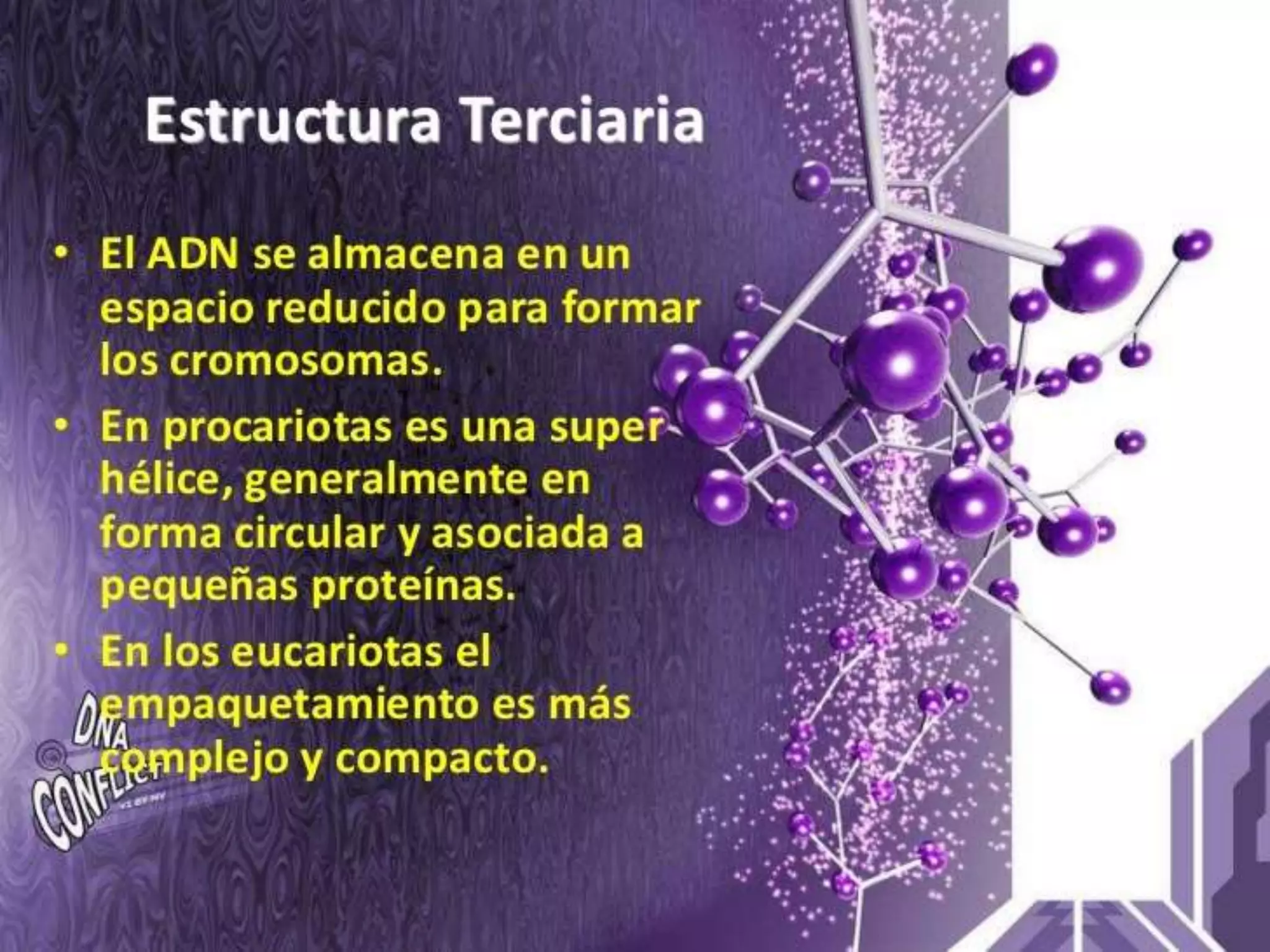 Biologia Molecular. acidos nucleicos.