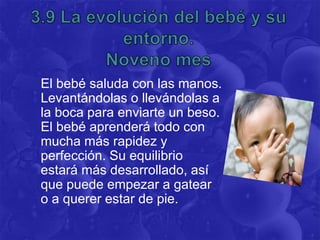 El bebé saluda con las manos.
Levantándolas o llevándolas a
la boca para enviarte un beso.
El bebé aprenderá todo con
mucha más rapidez y
perfección. Su equilibrio
estará más desarrollado, así
que puede empezar a gatear
o a querer estar de pie.
 