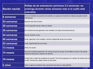 Reflejo de de ambulación (primeras 2-3 semanas) -se
Recién nacido   prolonga durante varias semanas más si el cuello está
                extendido.
                Si se le mantiene en posición de sentado, es capaz de mantener la cabeza erguida durante
8 semanas       más tiempo.

24 semanas      Soporta casi todo el peso.

28 semanas      Si se le aguanta de pie, salta con placer.


36 semanas      Se mantiene de pie agarrado a los muebles. Es capaz de ponerse de pie.


44 semanas      De pie, levanta un pie.

48 semanas      Anda, agarrado a los muebles. Camina cogiéndole de las dos manos.

52 semanas      Anda, agarrándole de una mano.

13 meses        Anda, sin ayuda.

                Sube las escaleras gateando. Se coloca de pie sin ayuda. Se arrodilla sin apoyo. No puede
15 meses        doblar las esquinas o pararse de repente.

                Puede subir y bajar las escaleras sin ayudó. Tira de los juguetes con ruedas. Se sienta solo en
18 meses        la silla. Comienza a saltar (sobre los dos pies).


2 años          Sube y baja las escaleras solo, apoyando dos pies en cada peldaño.
 
