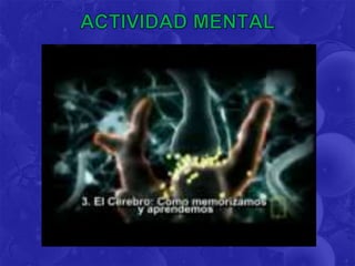 Diapositiva de ntics