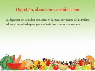 Digestión, absorción y metabolismo
La digestión del almidón comienza en la boca por acción de la amilasa
salivar y continúa después por acción de las enzimas pancreáticas.
 