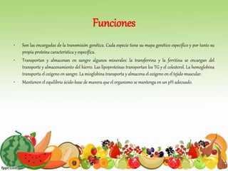Funciones
• Son las encargadas de la transmisión genética. Cada especie tiene su mapa genético específico y por tanto su
propia proteína característica y específica.
• Transportan y almacenan en sangre algunos minerales: la transferrina y la ferritina se encargan del
transporte y almacenamiento del hierro. Las lipoproteínas transportan los TG y el colesterol. La hemoglobina
transporta el oxígeno en sangre. La mioglobina transporta y almacena el oxígeno en el tejido muscular.
• Mantienen el equilibrio ácido-base de manera que el organismo se mantenga en un pH adecuado.
 