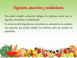 Digestión, absorción y metabolismo
Para poder cumplir su función biológica las proteínas tienen que ser
digeridas, absorbidas y metabolizadas.
En el proceso de la digestión son convertidas en aminoácidos las unidades
más pequeñas que pueden adoptar las proteínas, para que puedan ser
absorbidas.
 