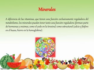 Minerales
A diferencia de las vitaminas, que tienen una función exclusivamente reguladora del
metabolismo, los minerales pueden tener tanto una función reguladora (forman parte
de hormonas y enzimas, como el yodo en la tiroxina) como estructural (calcio y fósforo
en el hueso, hierro en la hemoglobina).
 