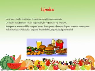 Lípidos
Las grasas o lípidos constituyen el nutriente energético por excelencia.
Los lípidos característicos son los triglicéridos, los fosfolípidos y el colesterol.
Su ingesta es imprescindible, aunque el exceso de su aporte, sobre todo de grasa saturada (como ocurre
en la alimentación habitual de los países desarrollados), es perjudicial para la salud.
 