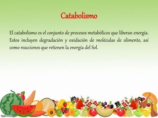 Catabolismo
El catabolismo es el conjunto de procesos metabólicos que liberan energía.
Estos incluyen degradación y oxidación de moléculas de alimento, así
como reacciones que retienen la energía del Sol.
 