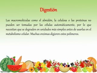Digestión
Las macromoléculas como el almidón, la celulosa o las proteínas no
pueden ser tomadas por las células automáticamente, por lo que
necesitan que se degraden en unidades más simples antes de usarlas en el
metabolismo celular. Muchas enzimas digieren estos polímeros.
 