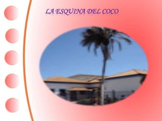 LA ESQUINA DEL COCO
 