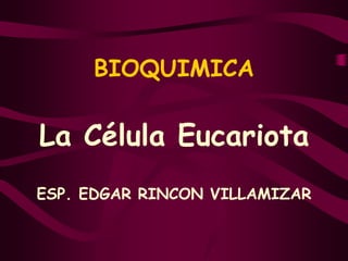 BIOQUIMICA La Célula Eucariota  ESP. EDGAR RINCON VILLAMIZAR 