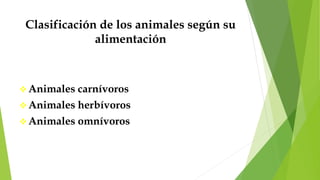 Clasificación de los animales según su
alimentación
 Animales carnívoros
 Animales herbívoros
 Animales omnívoros
 