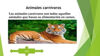Animales carnívoros
Los animales carnívoros son todos aquellos
animales que basan su alimentación en carnes.
video
 