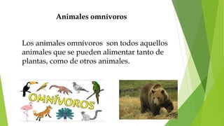 Animales omnívoros
Los animales omnívoros son todos aquellos
animales que se pueden alimentar tanto de
plantas, como de otros animales.
 