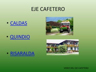EJE CAFETERO
• QUINDIO
• RISARALDA
• CALDAS
VIDEO DEL EJE CAFETERO
 