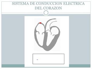 SISTEMA DE CONDUCCION ELECTRICA DEL CORAZON
