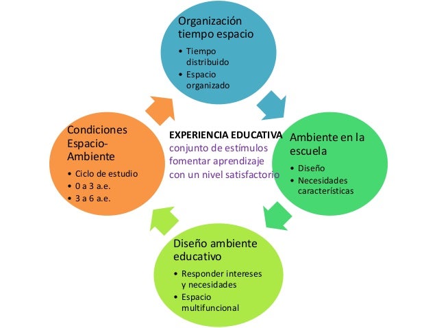 Diapositiva elemento 1 organizador gráfico grupal