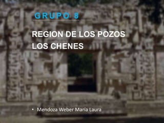 REGION DE LOS POZOS
G R U P O 8
• Mendoza Weber María Laura
LOS CHENES
 