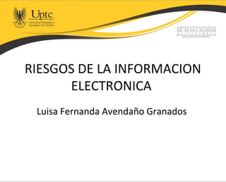 RIESGOS DE LA INFORMACION
ELECTRONICA
Luisa Fernanda Avendaño Granados
 