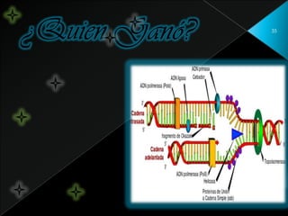 35




і Bueno fue un empate!
        ¿іQUE!?
 